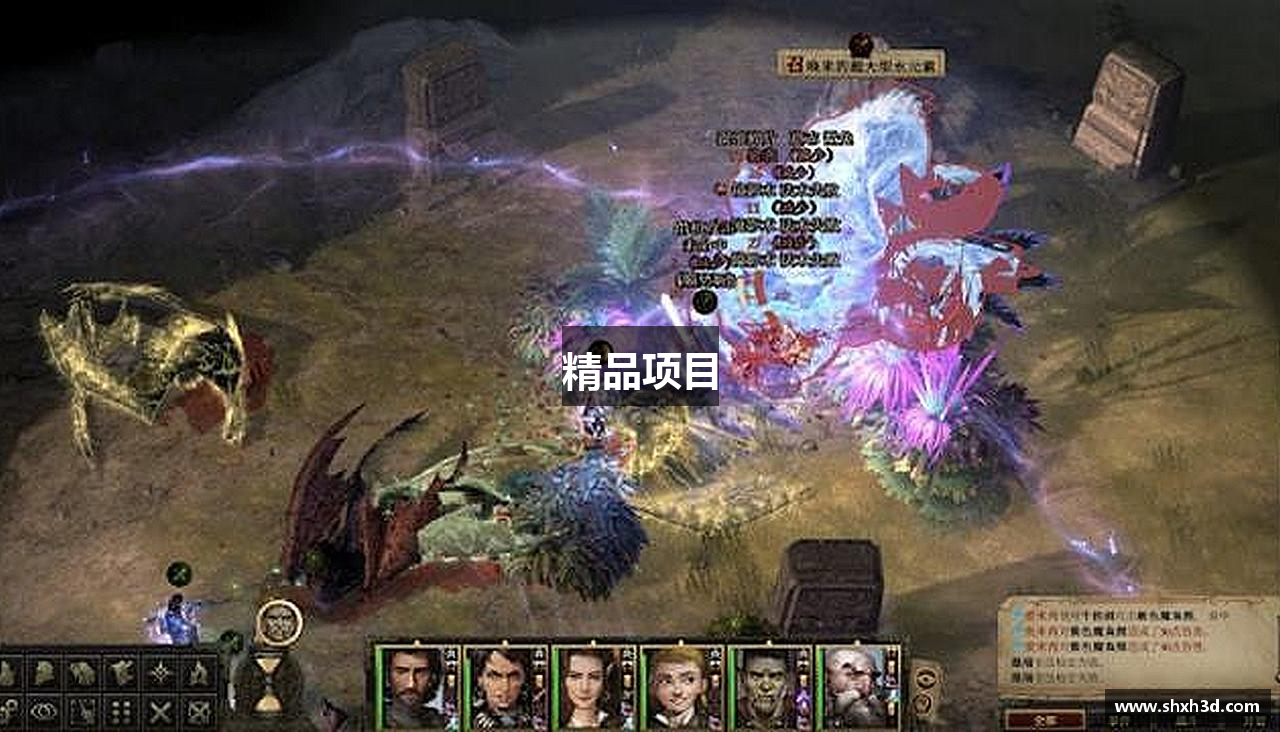 精品项目